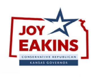 Joy Eakins Republican candidate for Texas Governor 2026