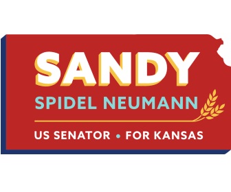 Sandy Spidel Neumann Democratic candidate for Texas U.S. Senator 2026