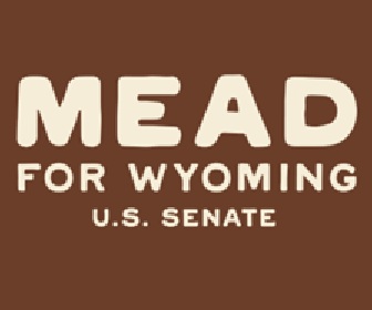 Samuel Mead Republican candidate for Minnesota U.S. Senator 2026